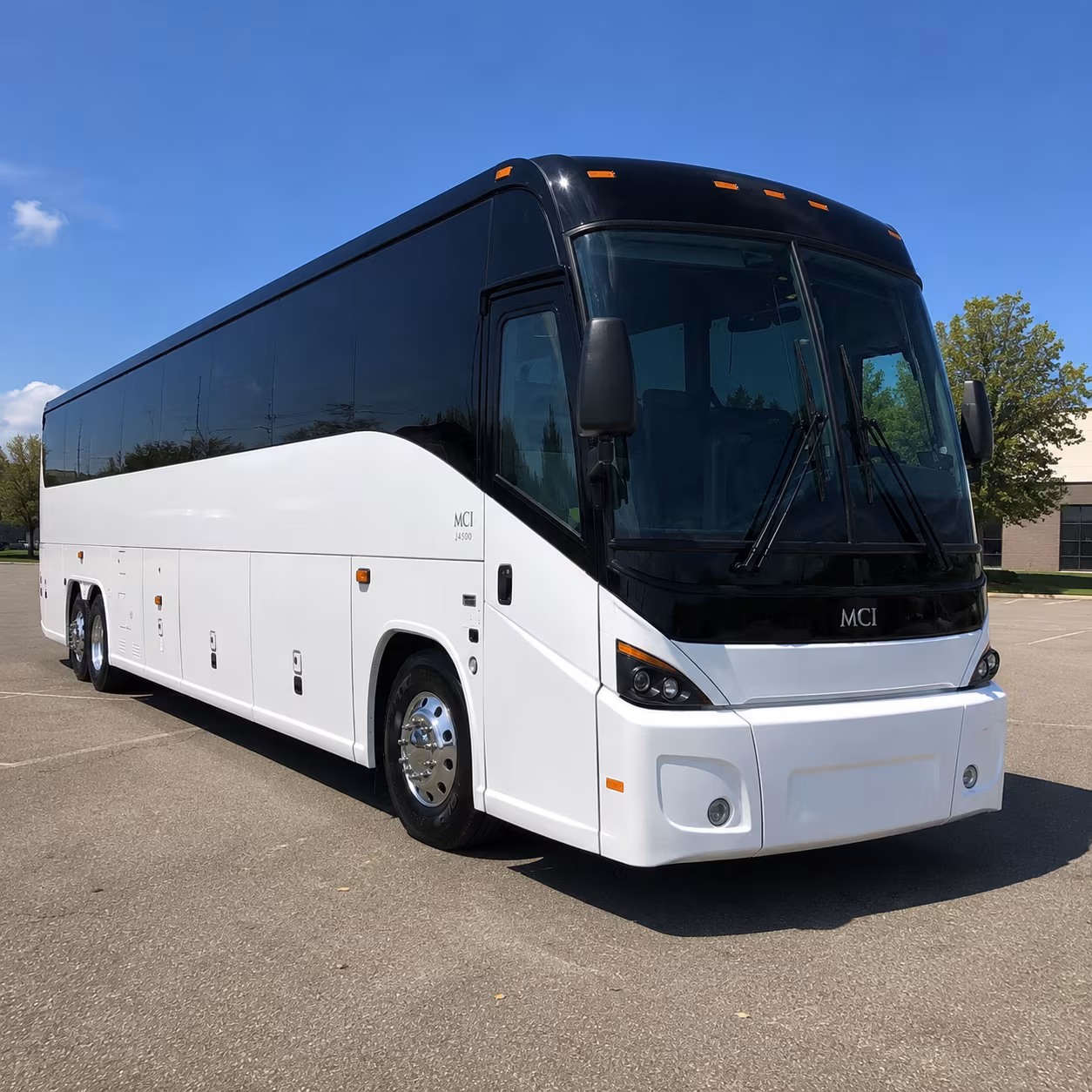 alexandria 45 passenger charter bus