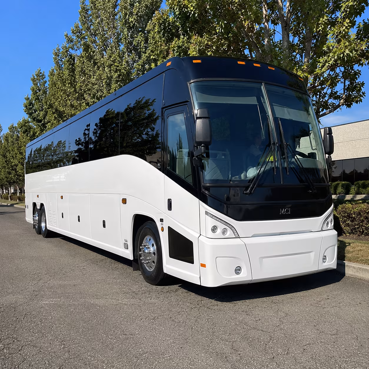 alexandria 50 passenger charter bus
