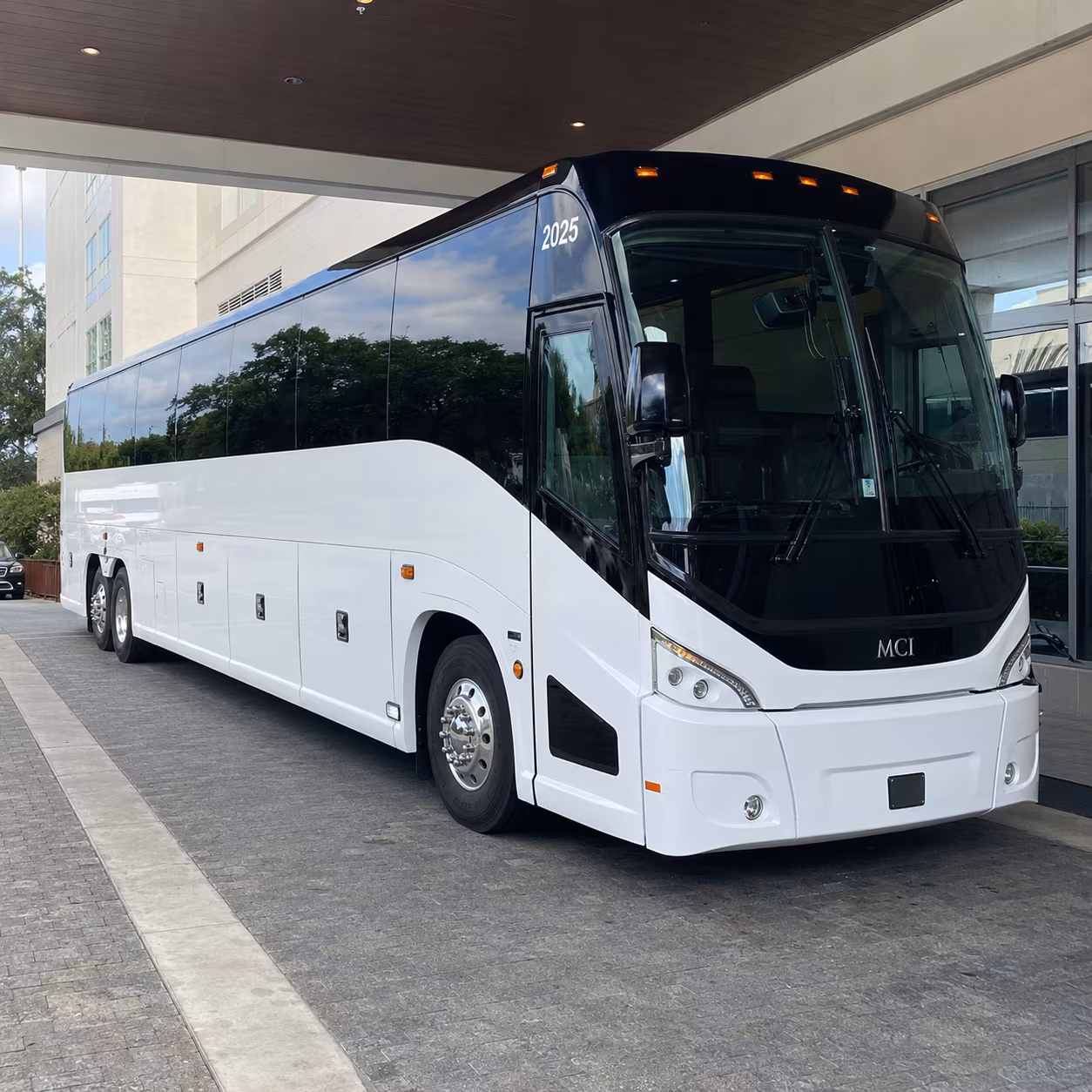 alexandria 54 passenger charter bus