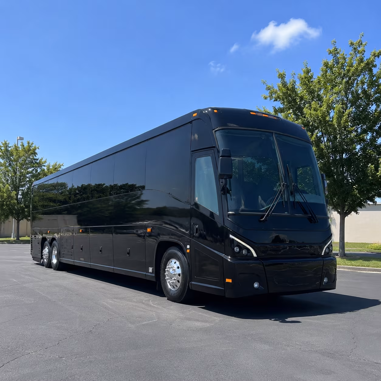 alexandria 56 passenger charter bus