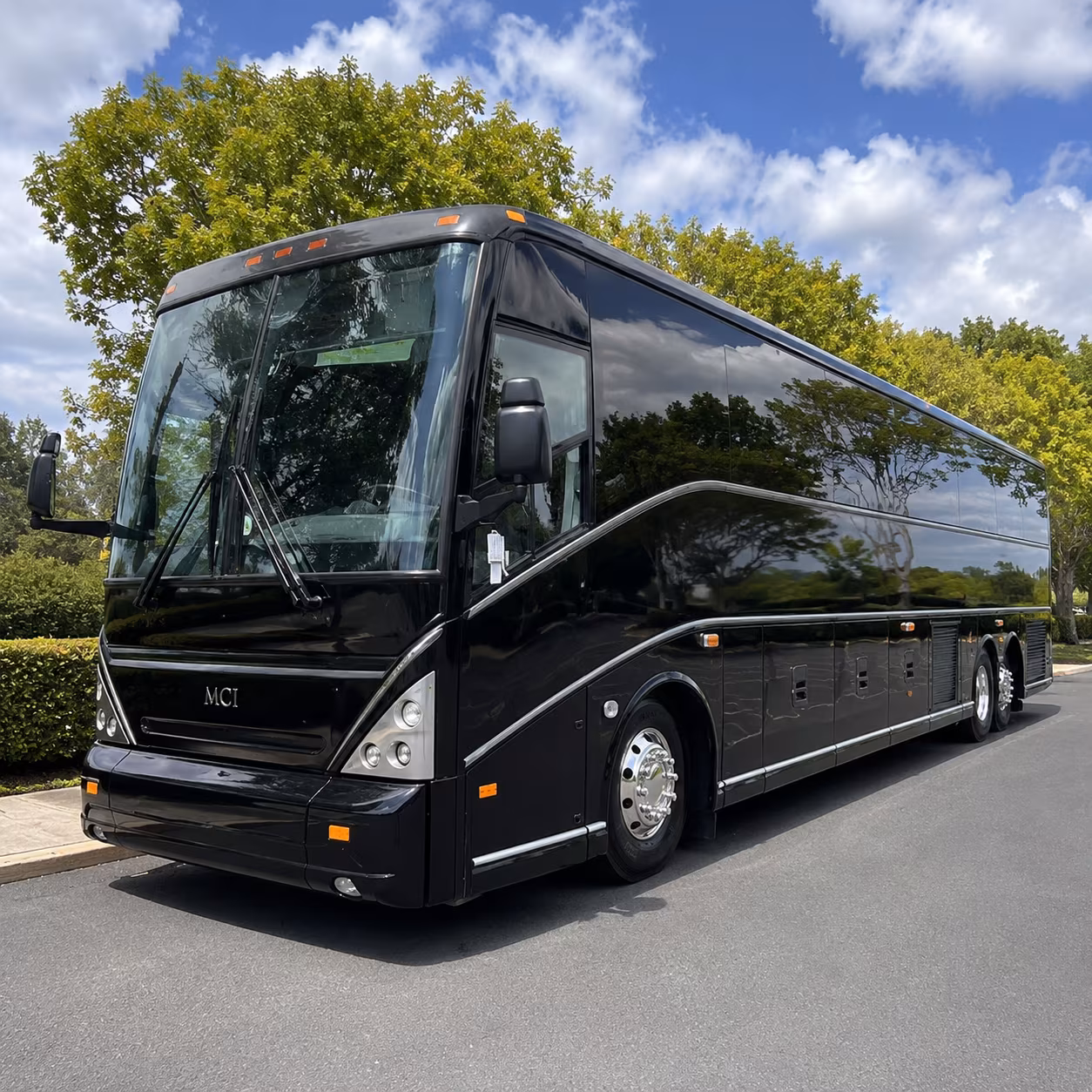 alexandria charter bus