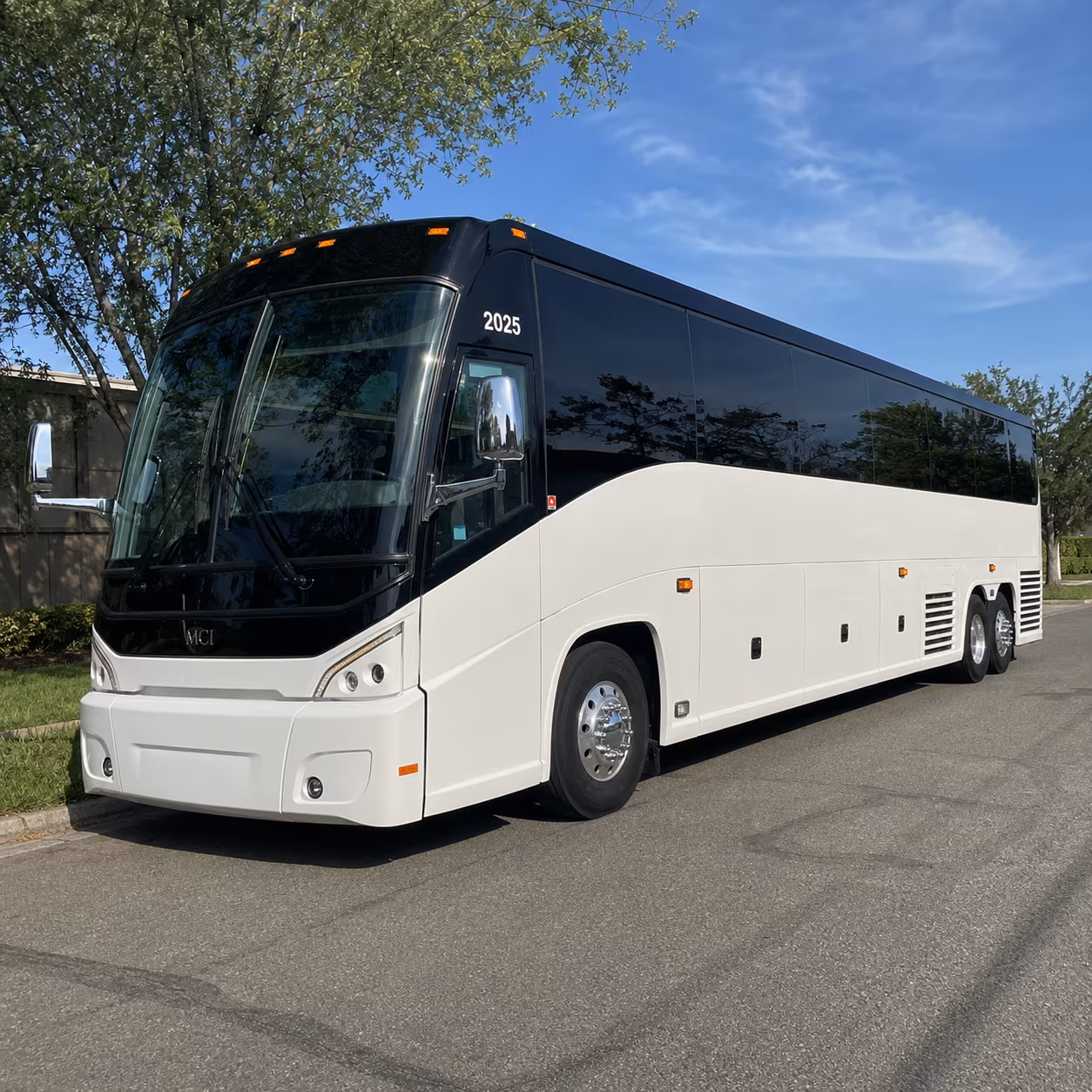 alexandria family reunion charter bus rental