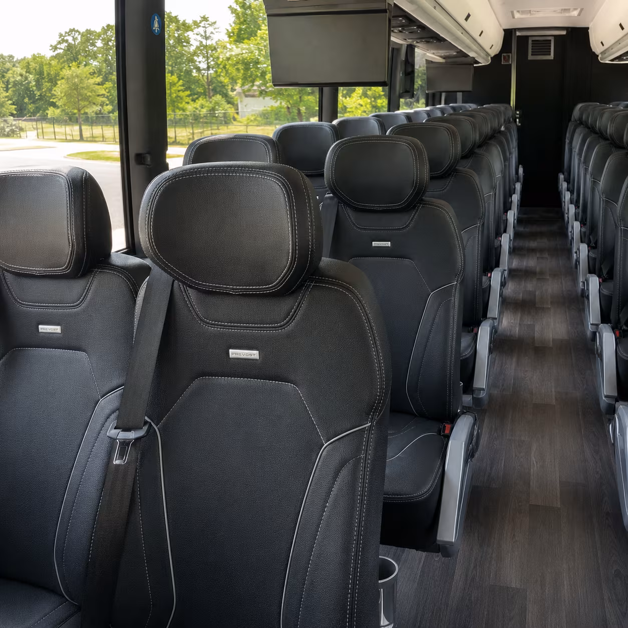 alexandria minibus rentals