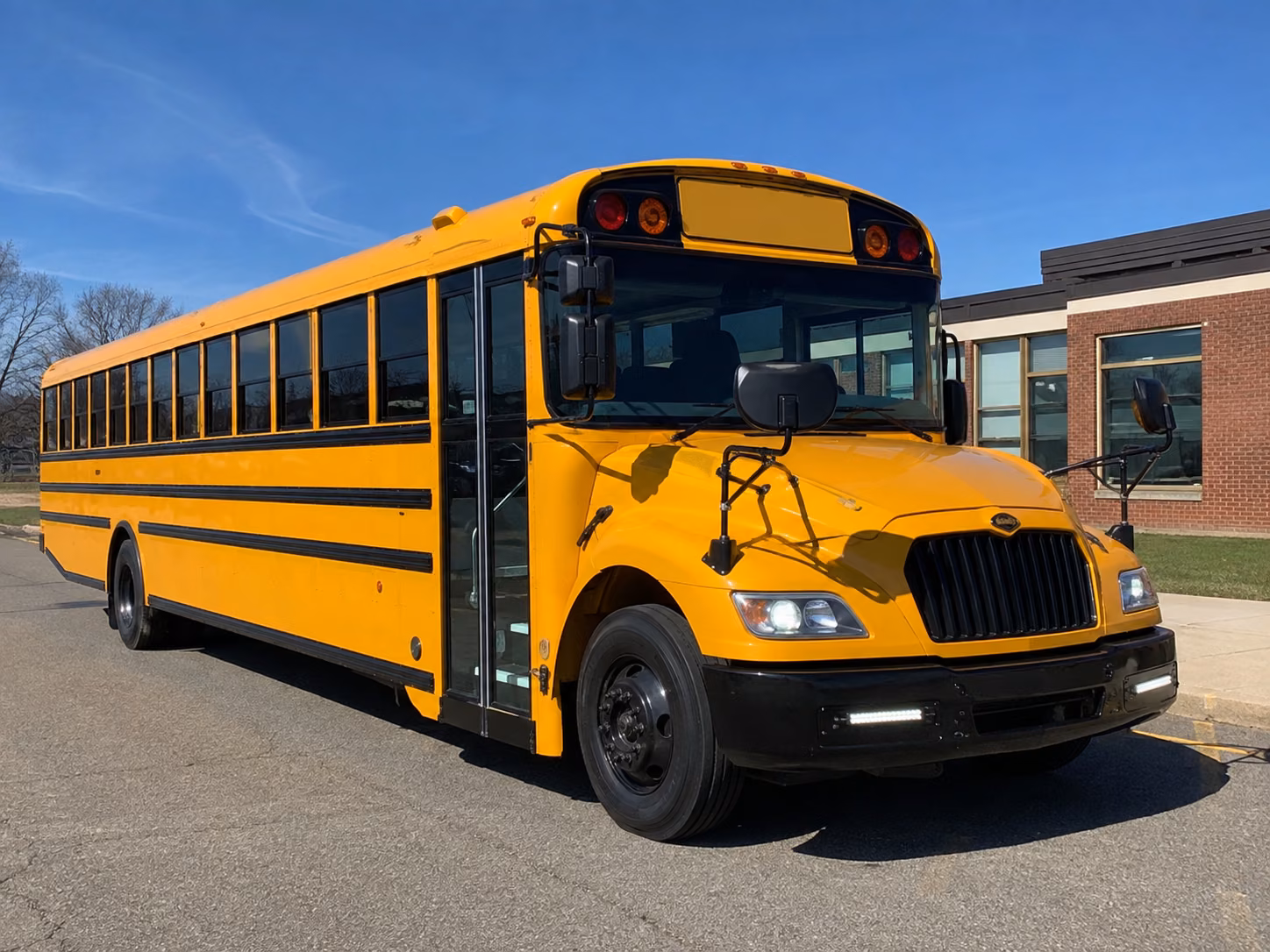 alexandria school bus