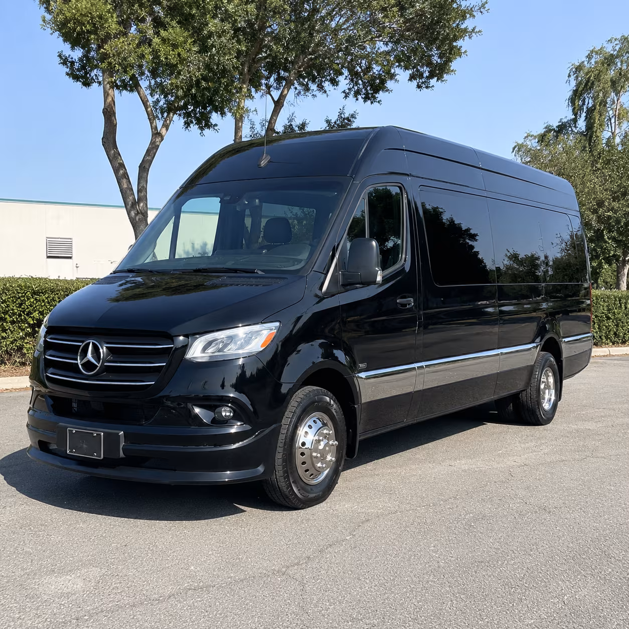 alexandria sprinter van with driver